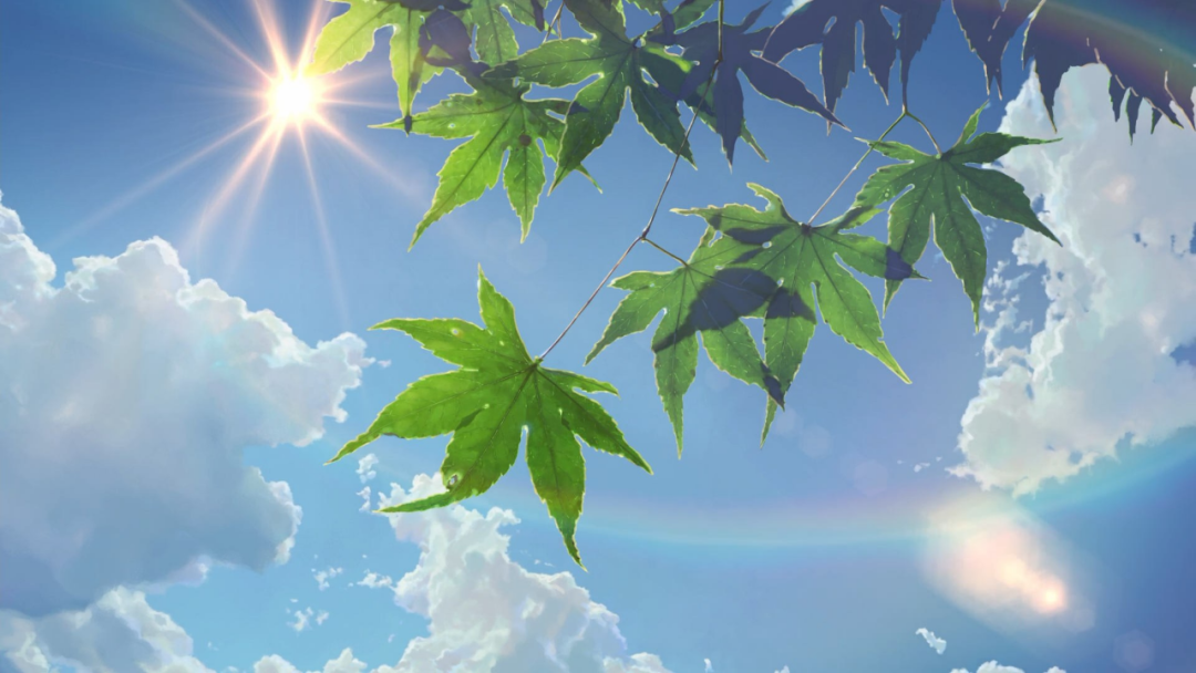 640 (3).png